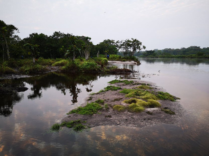 Salonga National Park, Central Congo Basin, DR Congo